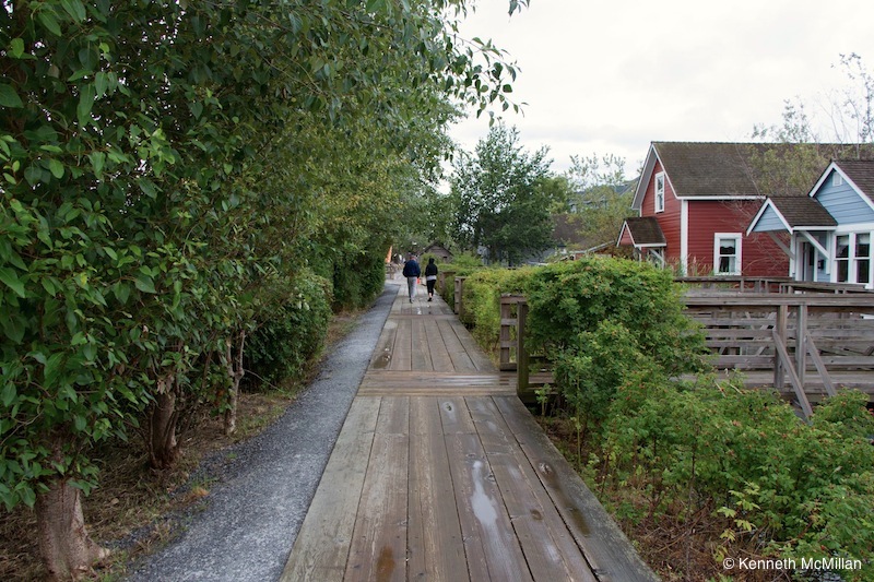 The wood boardwalk